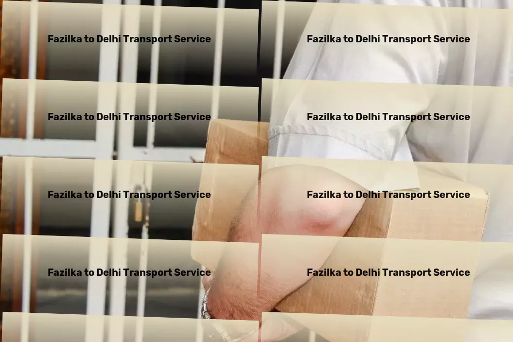 Fazilka to Delhi Transport Business logistics