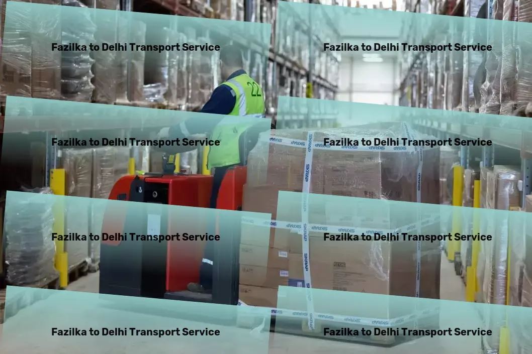 Fazilka to Delhi Transport Specialized cargo shipping