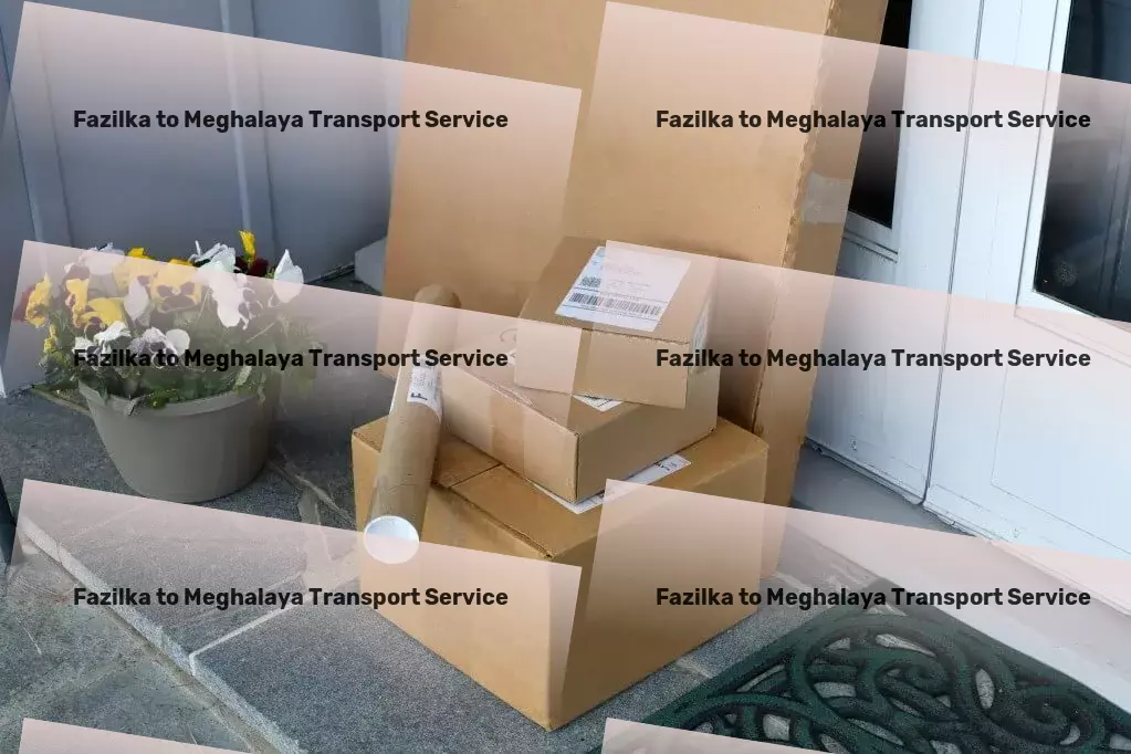 Fazilka to Meghalaya Transport Customized freight and shipment solutions