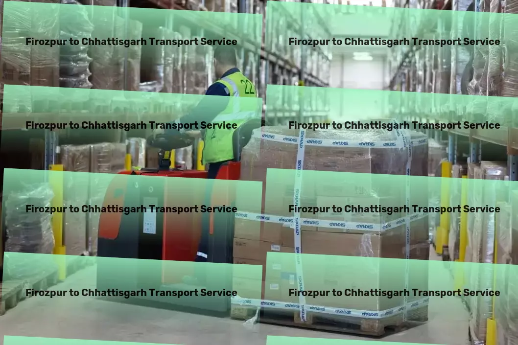 Firozpur to Chhattisgarh Transport Long-distance logistics