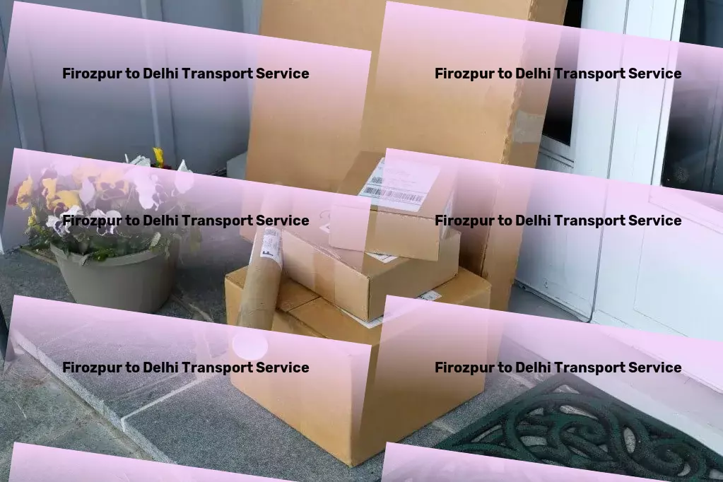 Firozpur to Delhi Transport Express household logistics