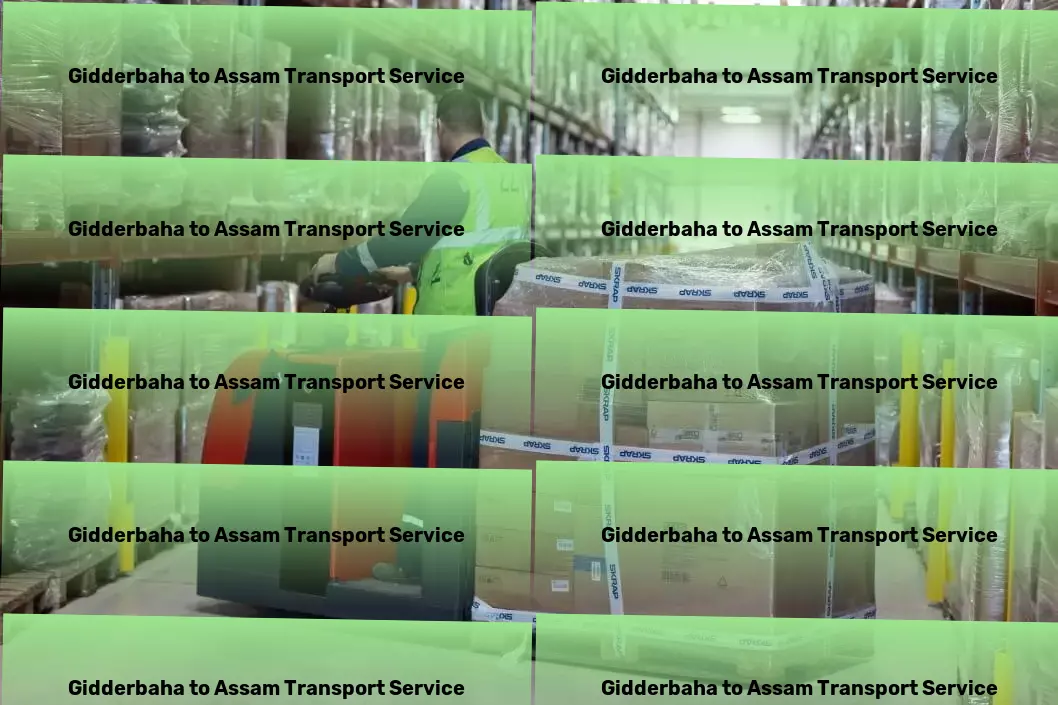 Gidderbaha to Assam Transport Empowering seamless connections across all journeys! - International courier services