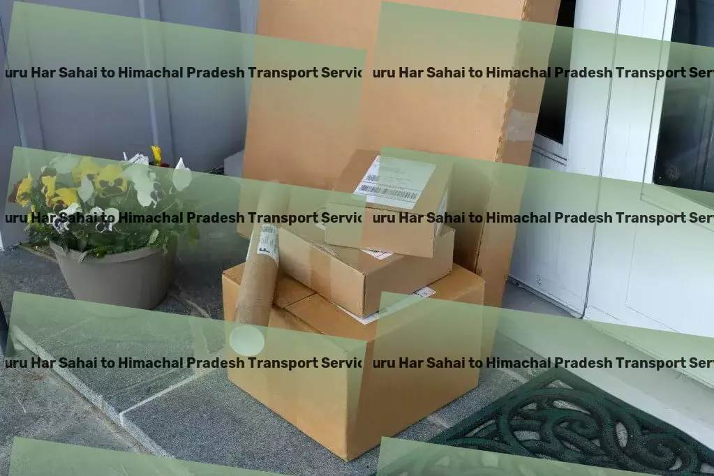 Guru Har Sahai to Himachal Pradesh Transport Multi-regional freight transport