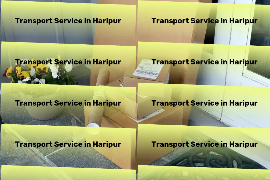 Courier And Parcel in Haripur, Punjab (PB) Empowering seamless deliveries throughout India! - Multi-regional cargo delivery