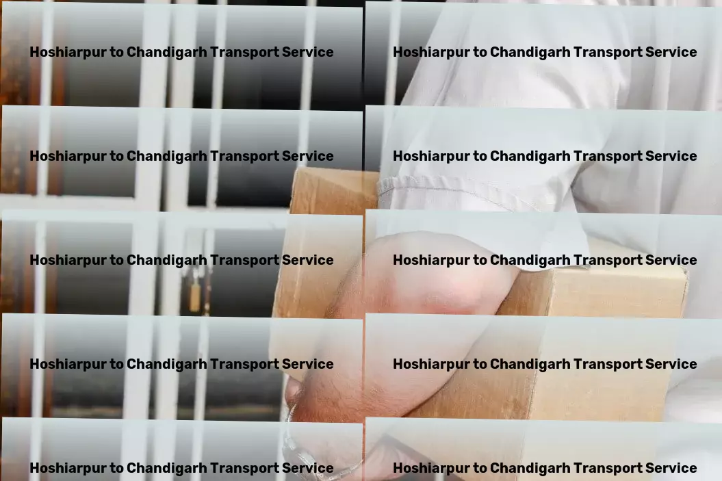 Hoshiarpur to Chandigarh Transport Commercial transport solutions